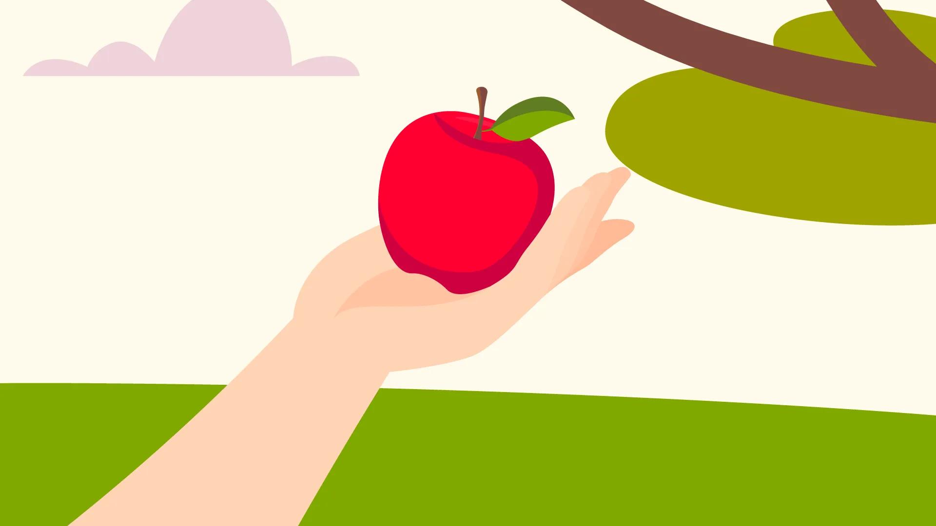 Fruit reception