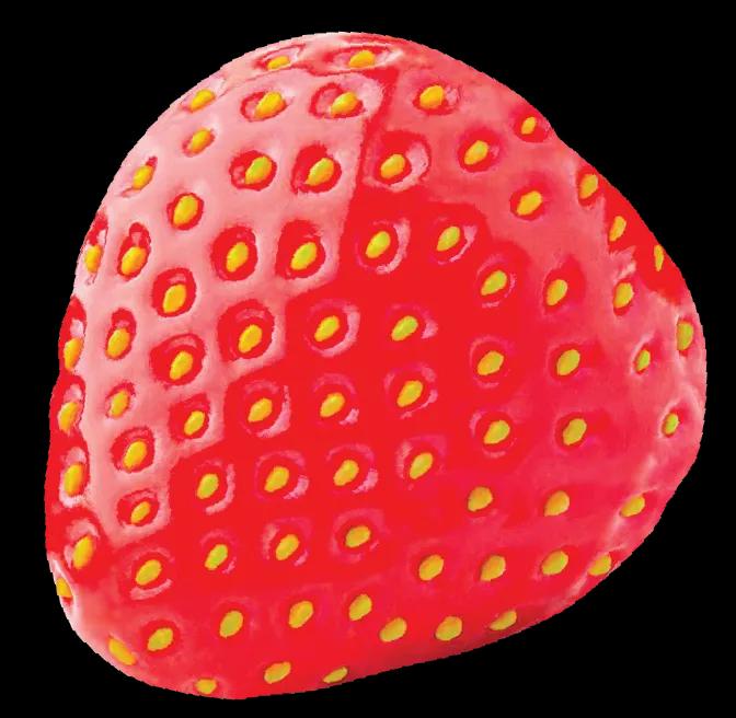 strawberry